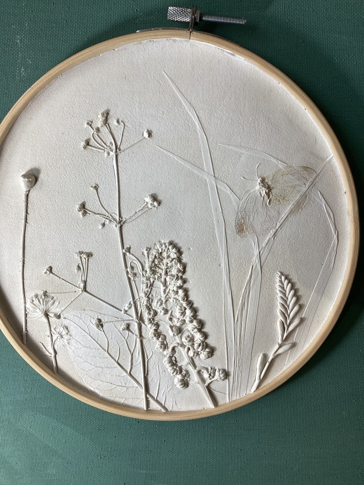 Wildblumen